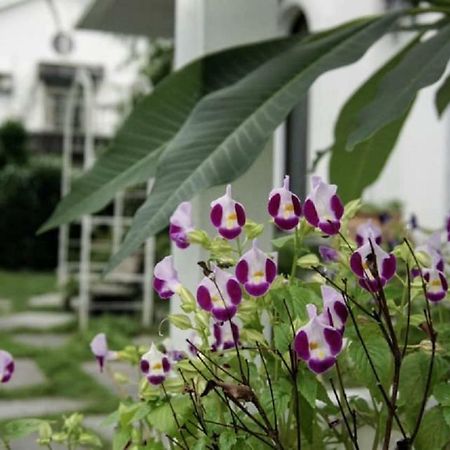 Hasayaki Homestay Sanxing Dış mekan fotoğraf