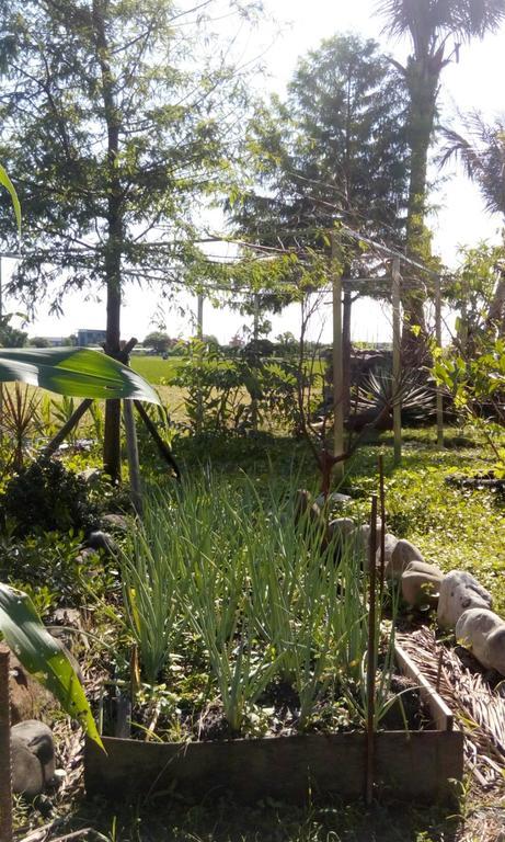 Hasayaki Homestay Sanxing Dış mekan fotoğraf