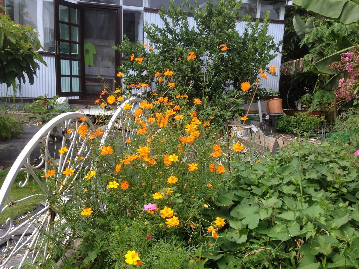 Hasayaki Homestay Sanxing Dış mekan fotoğraf